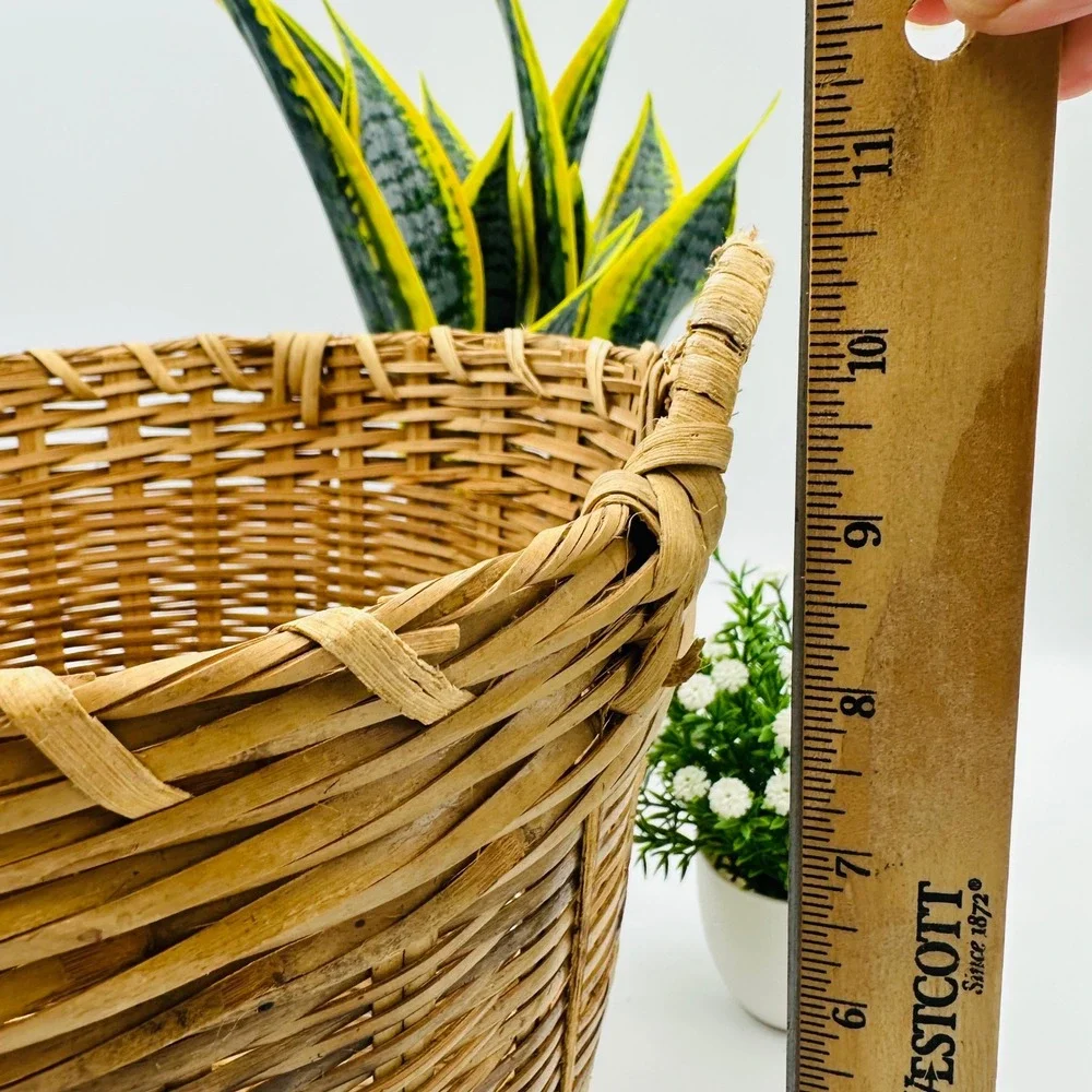 Vintage Bamboo Woven Basket with Handles Square Base Round Top Asian Boho